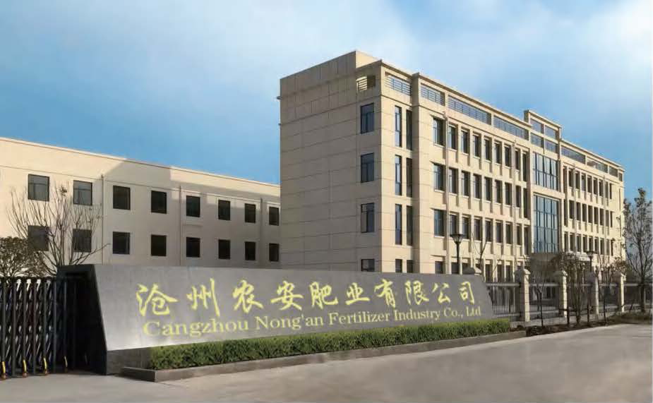 公司图片.png
