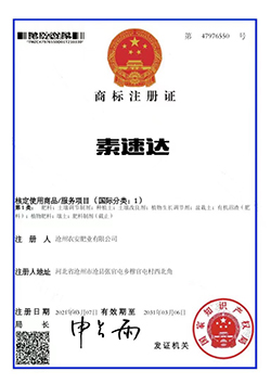 素速达2.jpg