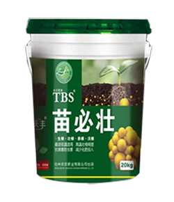 苗必壮